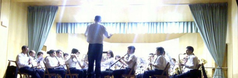 2012 concierto benefico